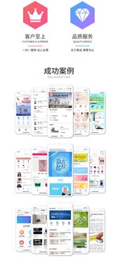電商軟件定制開發(fā) 軟件開發(fā) app開發(fā) app外包開發(fā)公司